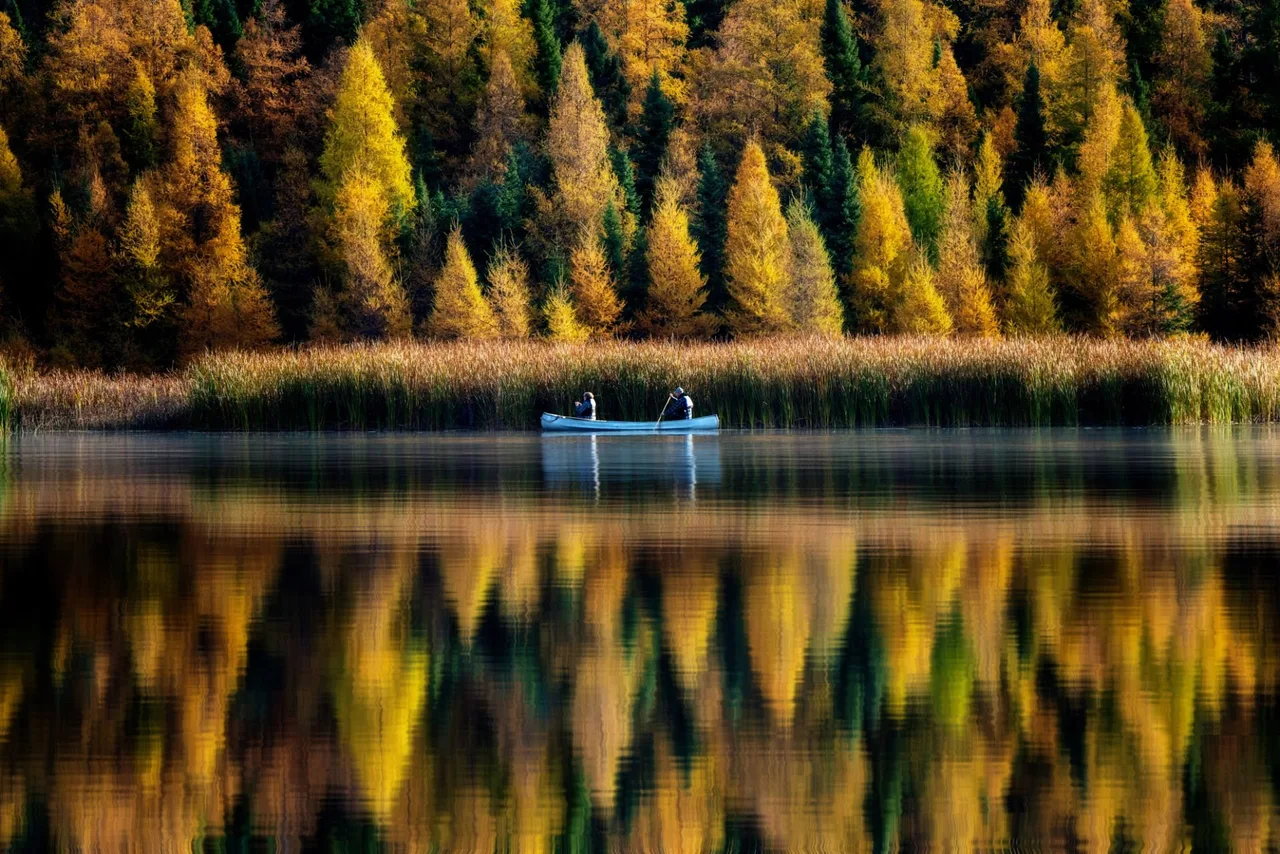 Canoe on a still forest lake