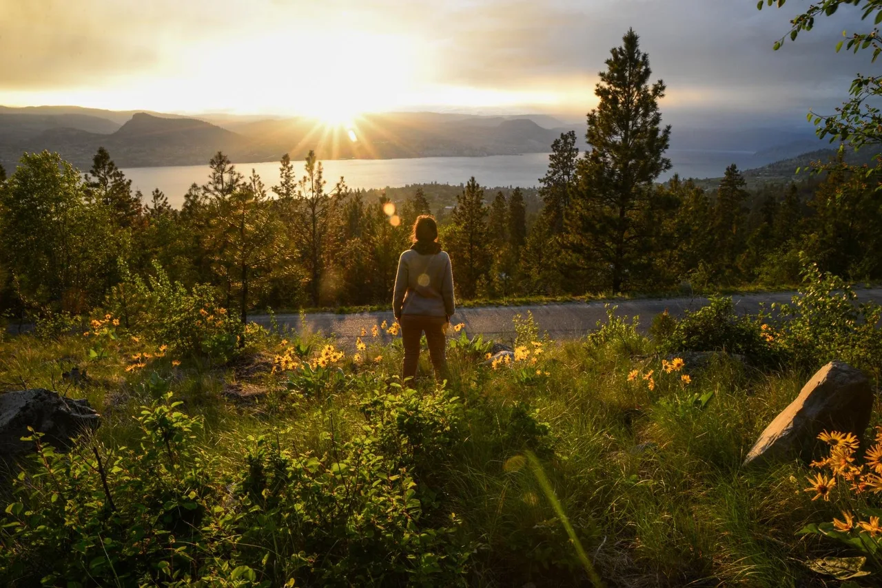 Hiker at a lookout above a lake