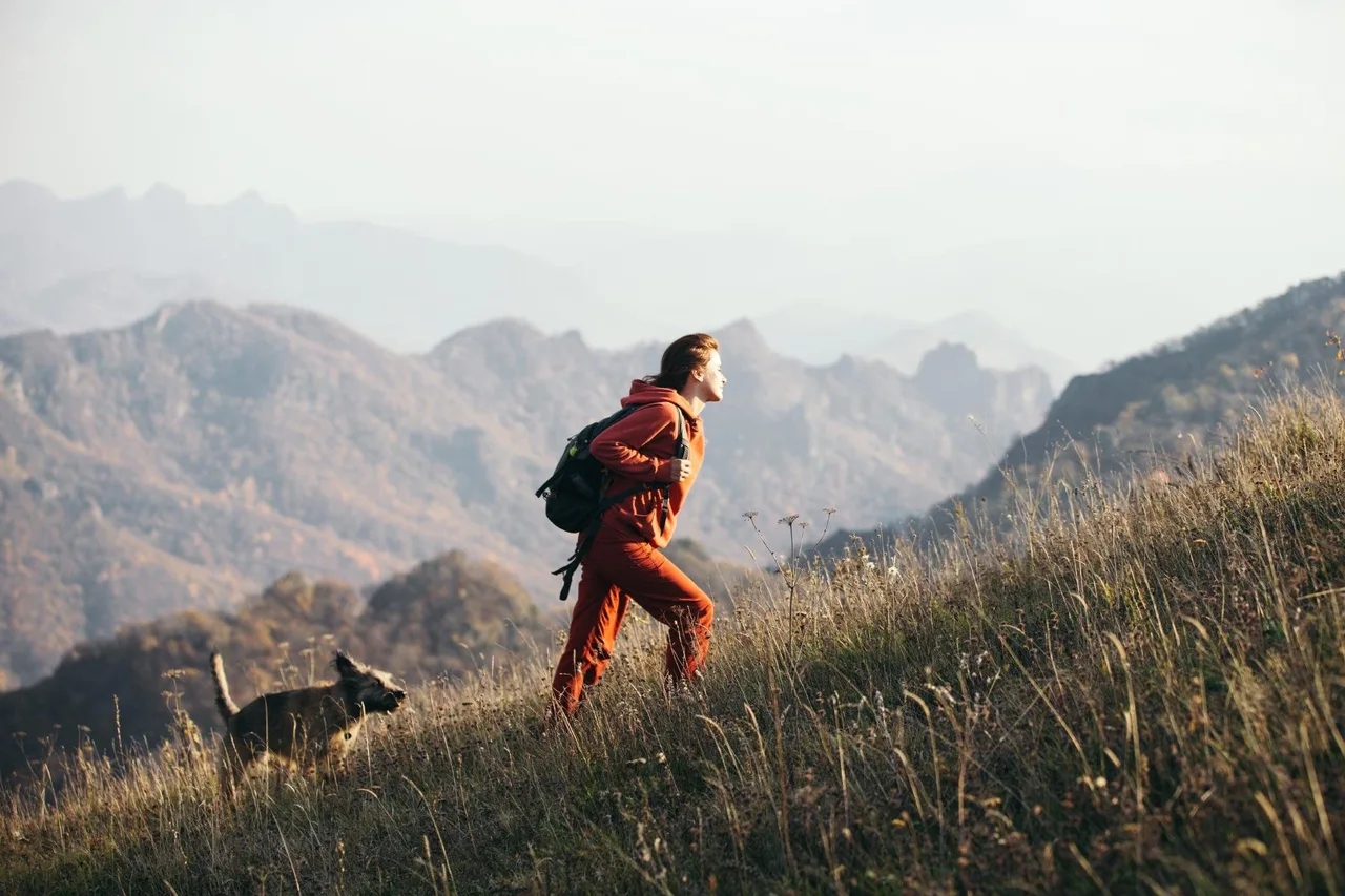 Hiker and dog climbing a grassy mountain slope