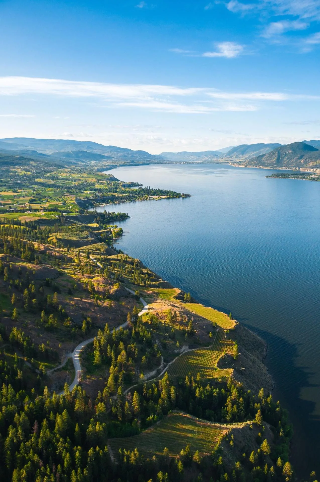 Aerial view of Okanagan Lake and its vineyard shoreline