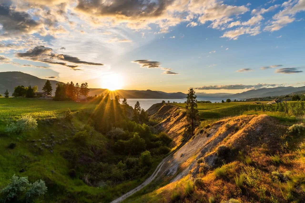 Sun setting over a green Okanagan valley