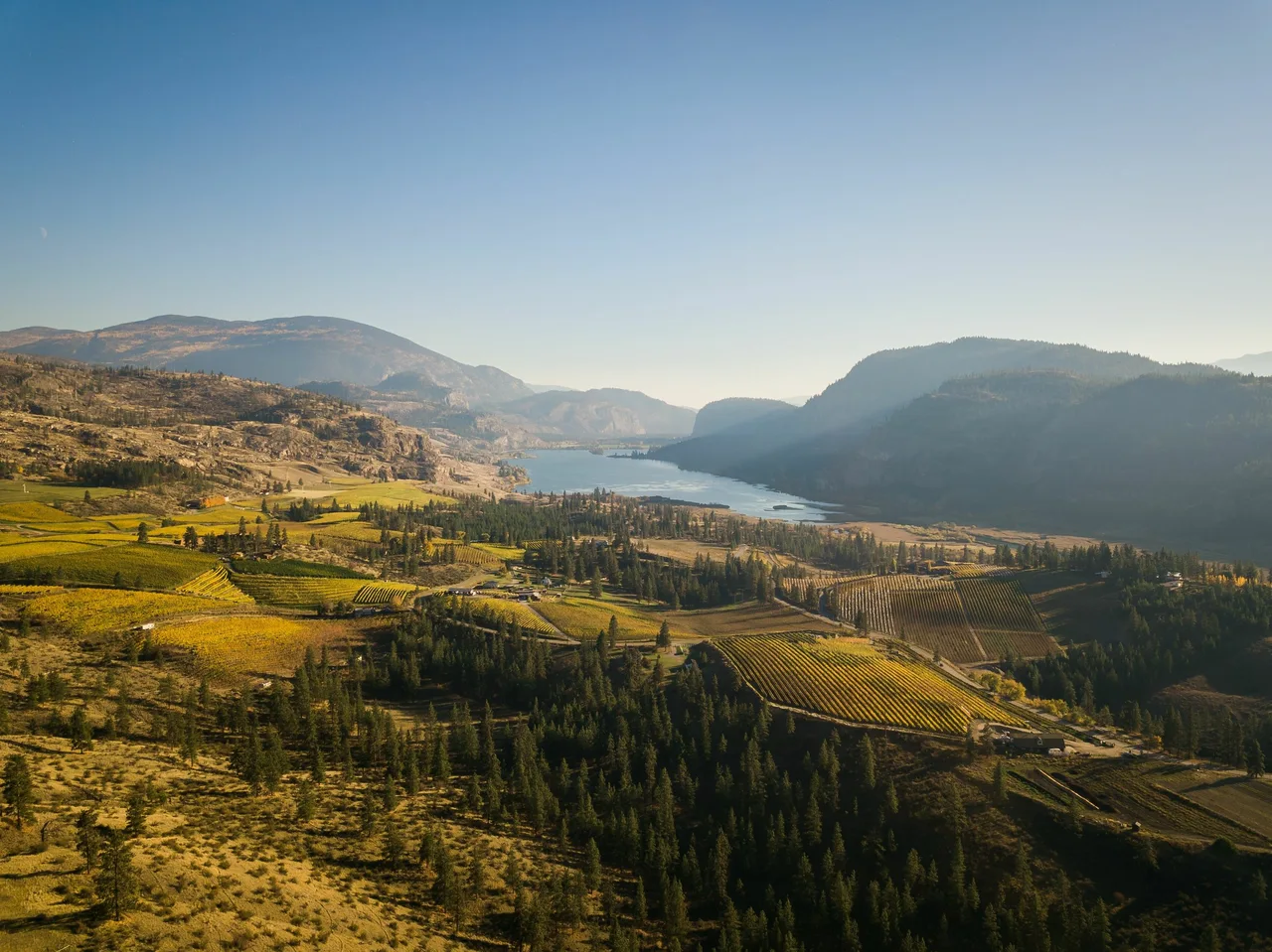 Vineyards in an Okanagan valley