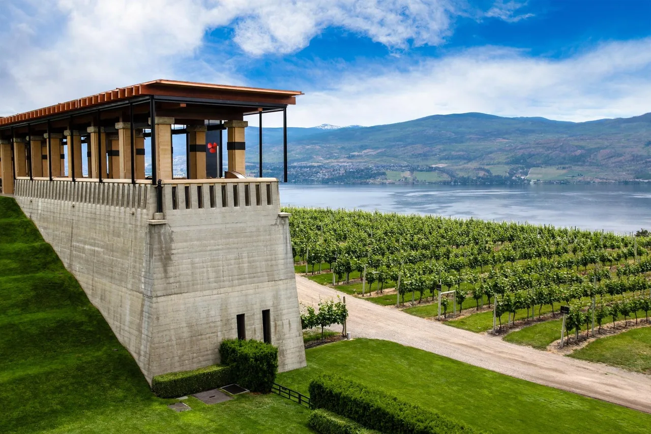 Winery terrace above vineyards and Okanagan Lake